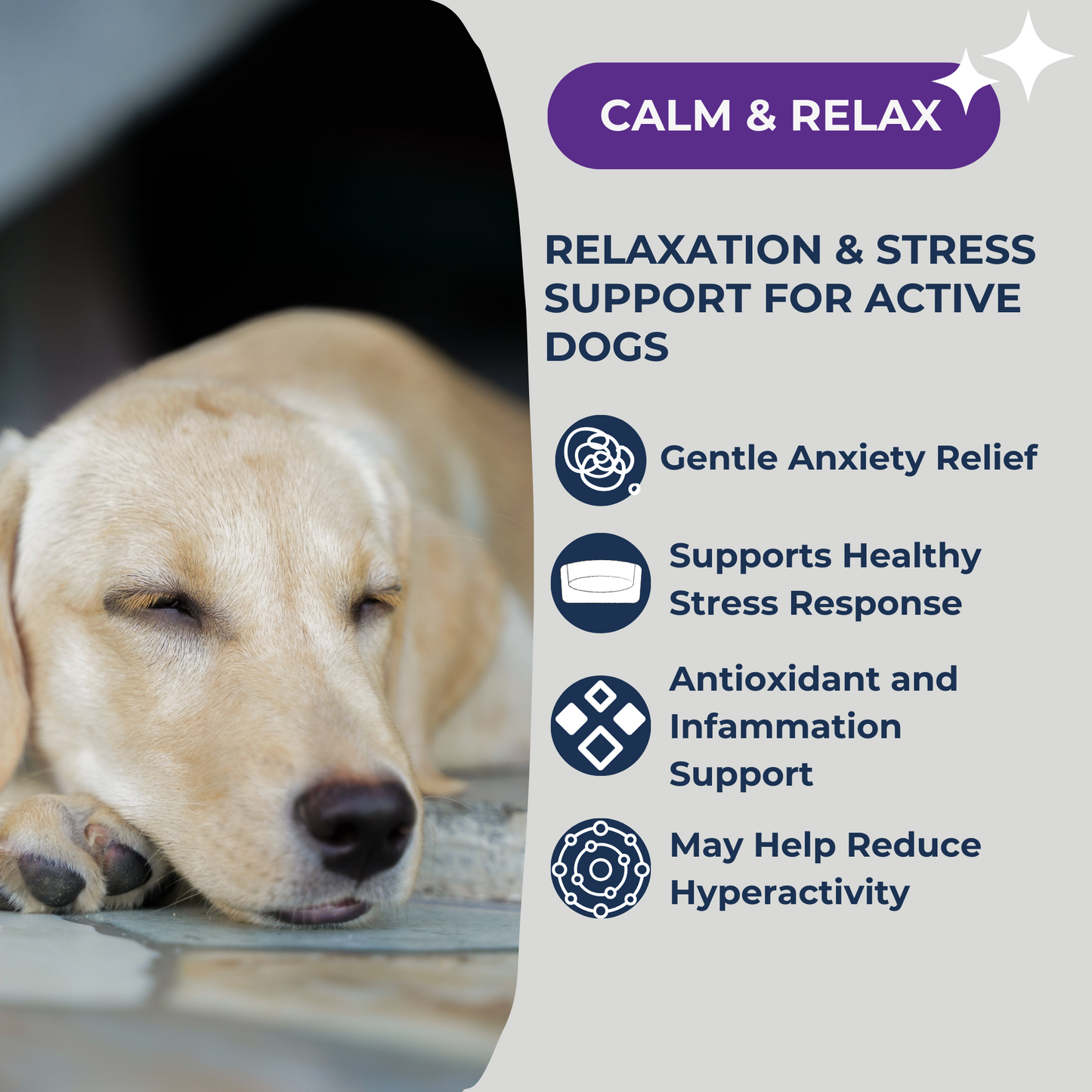 Dogletics Calm & Relax Supplement for Dogs