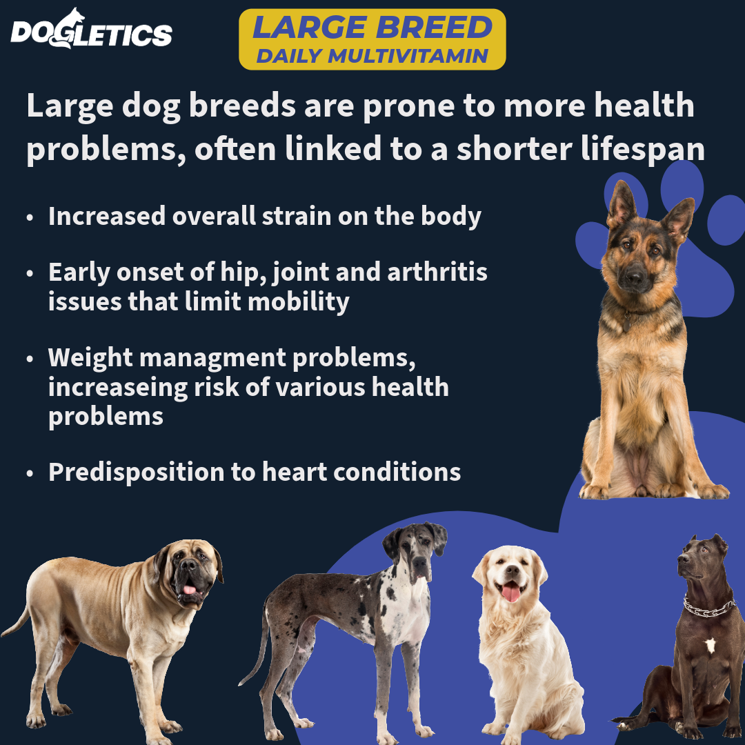 Dogletics Large Breed Daily Multivitamin