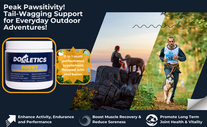 Dogletics Boost - Support Energy, Endurance, Recovery & Longevity